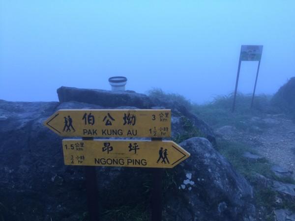 自由小迷宫