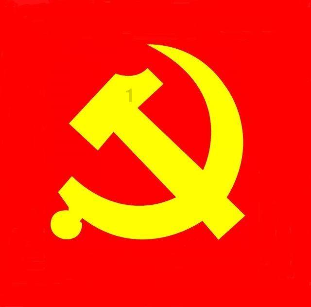 这一次,罗翔的″粪坑案″理论,被张艺谋的《第二十条》拍了出来